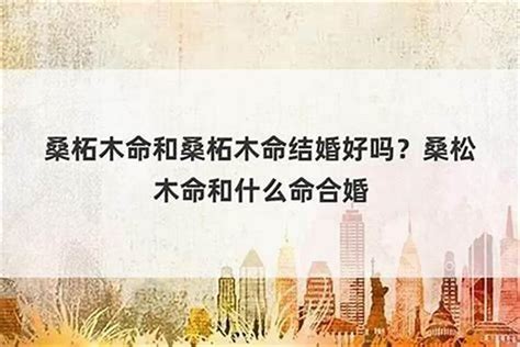 桑松士命|桑松木命:桑松木,桑松木和苦竹根,桑松木和山中藤,桑松木和風中絮…